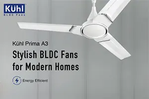 BLDC Ceiling Fan
